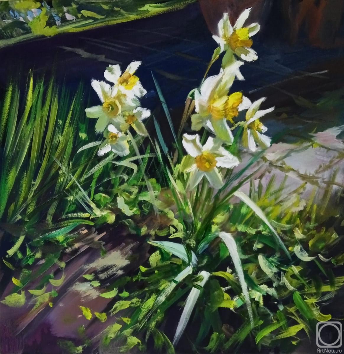 Korolev Andrey. Daffodils