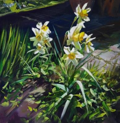 Daffodils (Bouquet Of Garden Flowers). Korolev Andrey