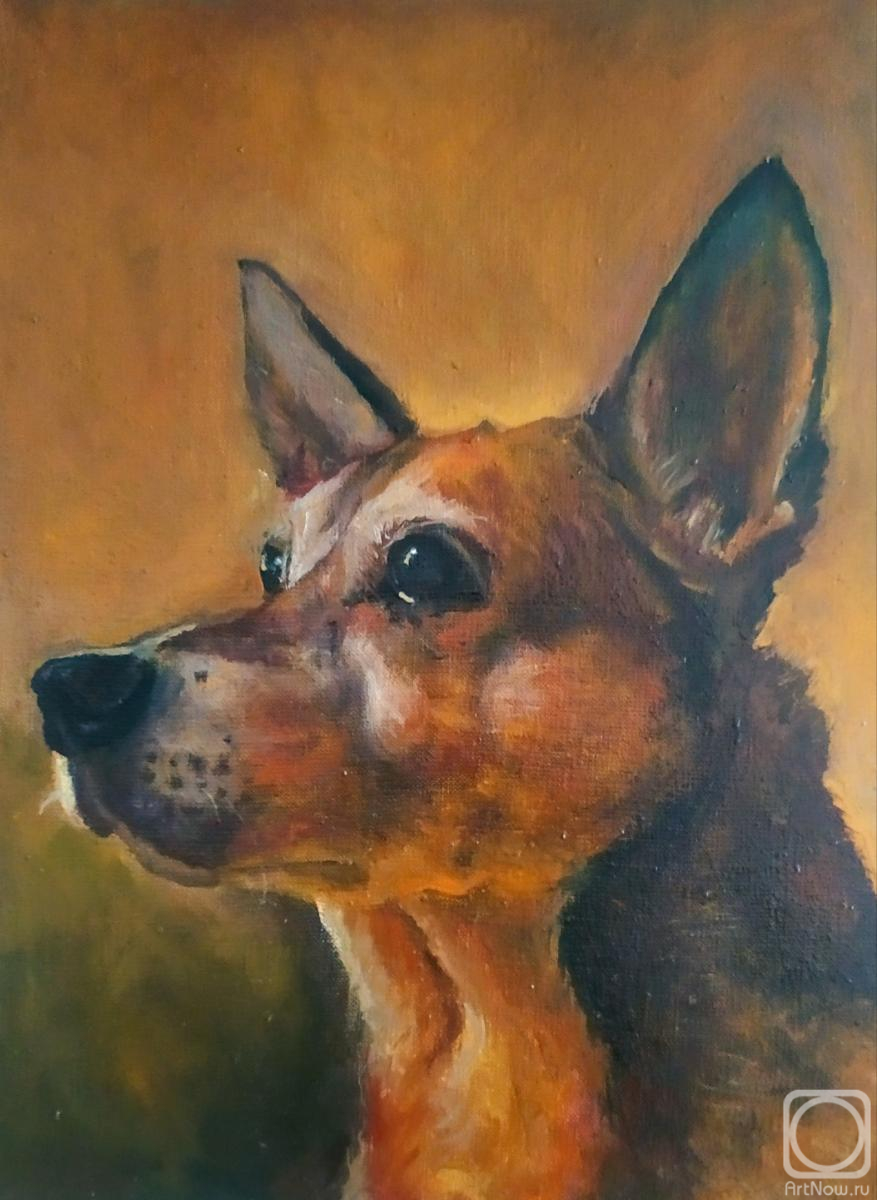 ������� ������ �� ������. ������ �����. �����