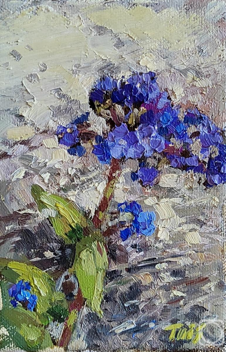 ������� ������ �� ������. ���������� ������. ���� � ���������