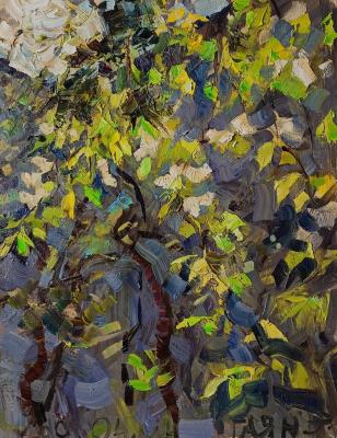Bird cherry in the yard, May (Impressionism). Dobrovolskaya Gayane