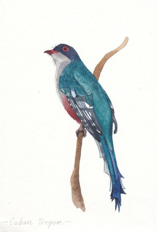 �������. �������� ���������. �����. ��������� ������