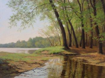 Spring on the Ina (Spring Landscape Oil Painting). Lemehov Igor