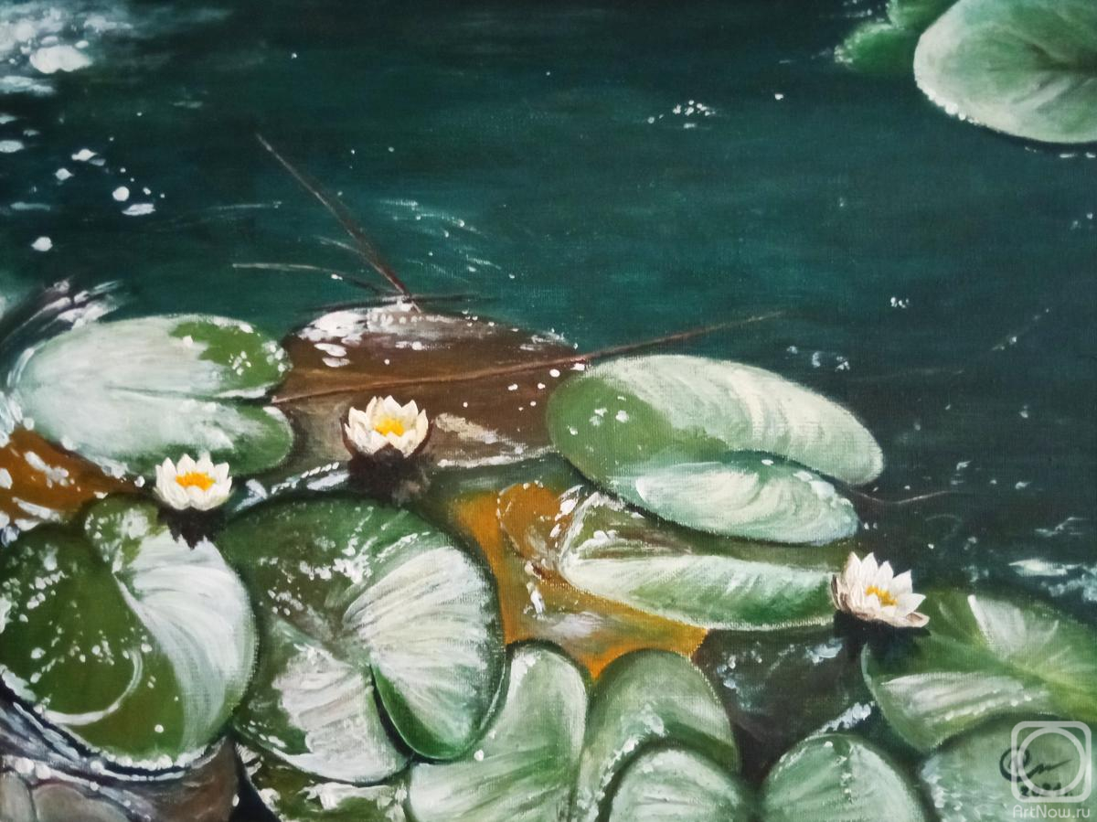 �������. ������� �����. ��������� �����