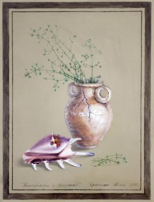 Still life with a seashell. Kravchenko Yuliya