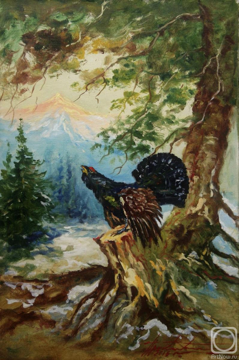 Prokaeva Galina. Capercaillie