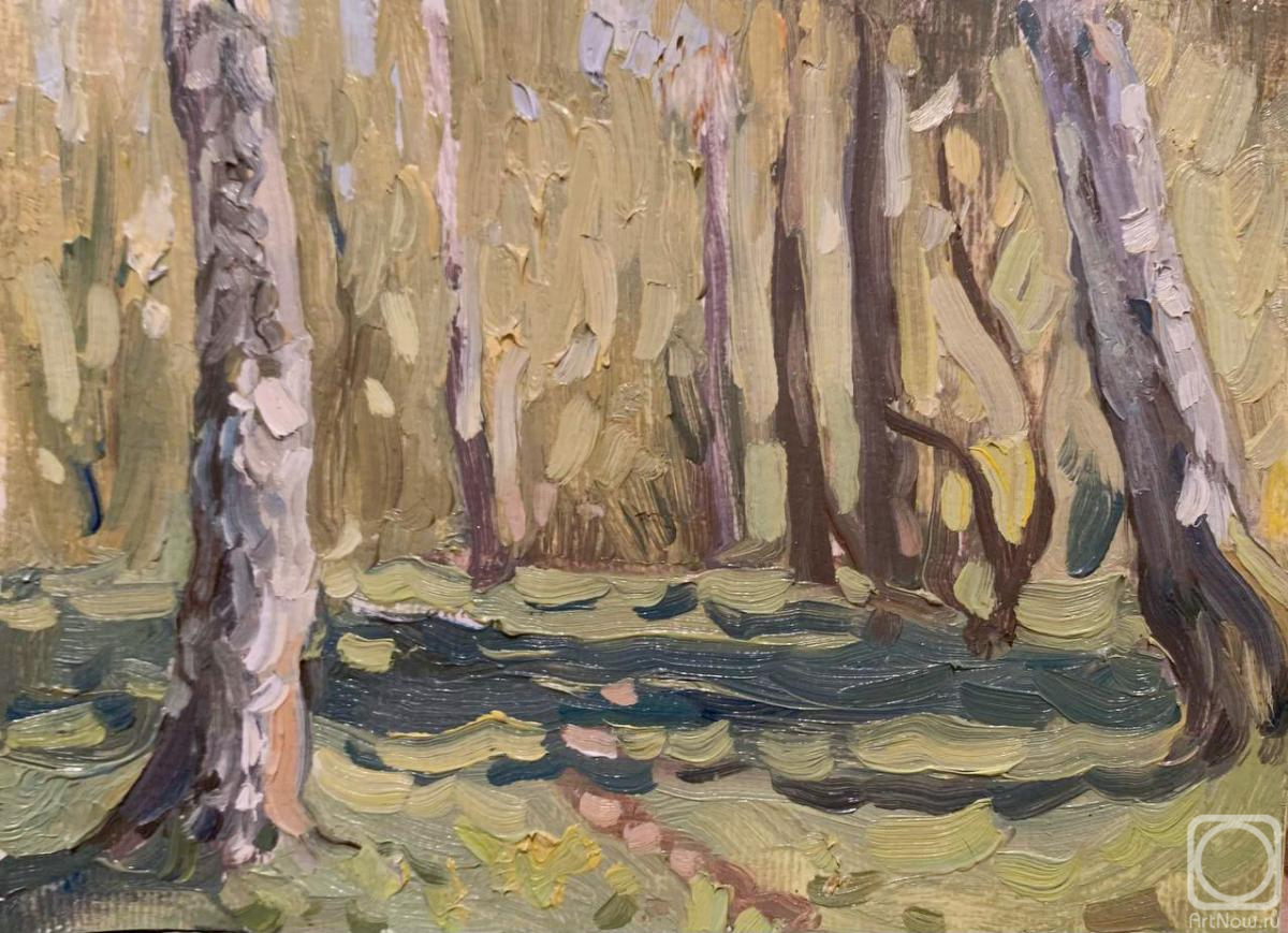 Kudrin Sergey. Etude