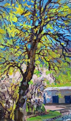 Linden, cherry, May (Landscape Impressionism). Dobrovolskaya Gayane
