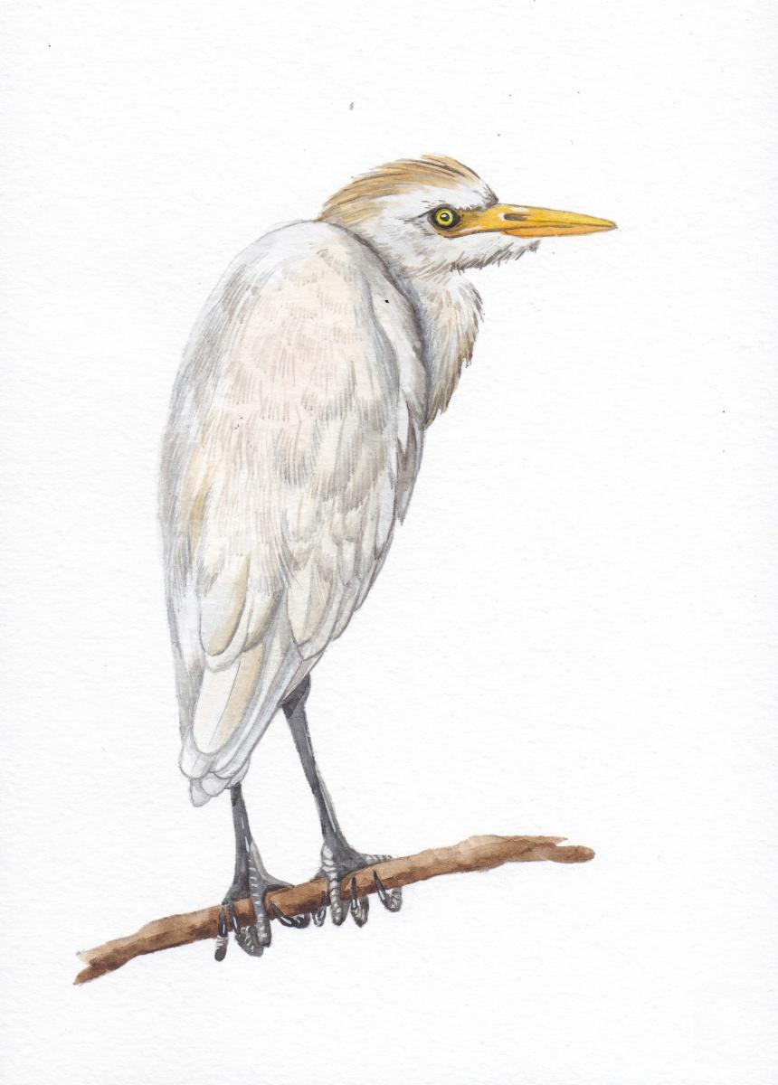 �������. �������� ���������. �����. ���������� �����