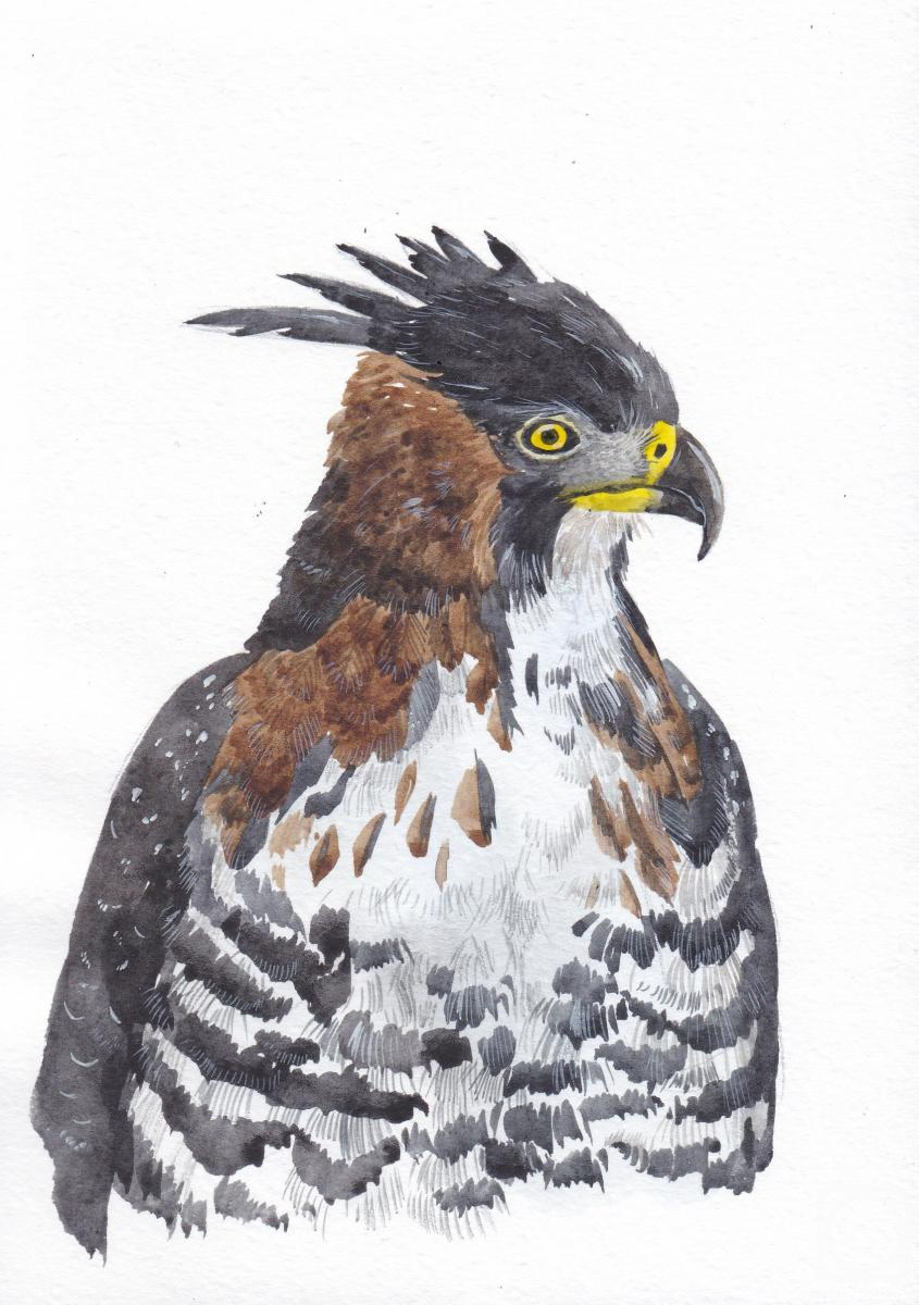 �������. �������� ���������. �����. �������� �������� ����