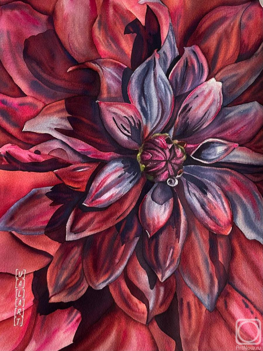 �������. ��������� �������. ������� �������