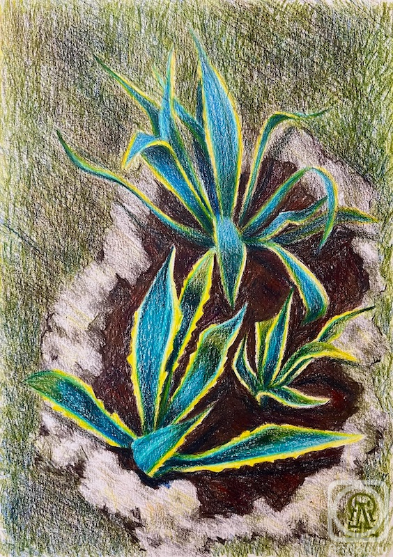 �������. �������� ������. �����