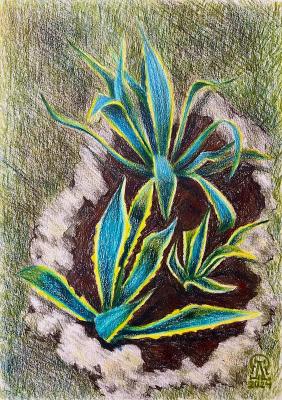 �����. �������� ������