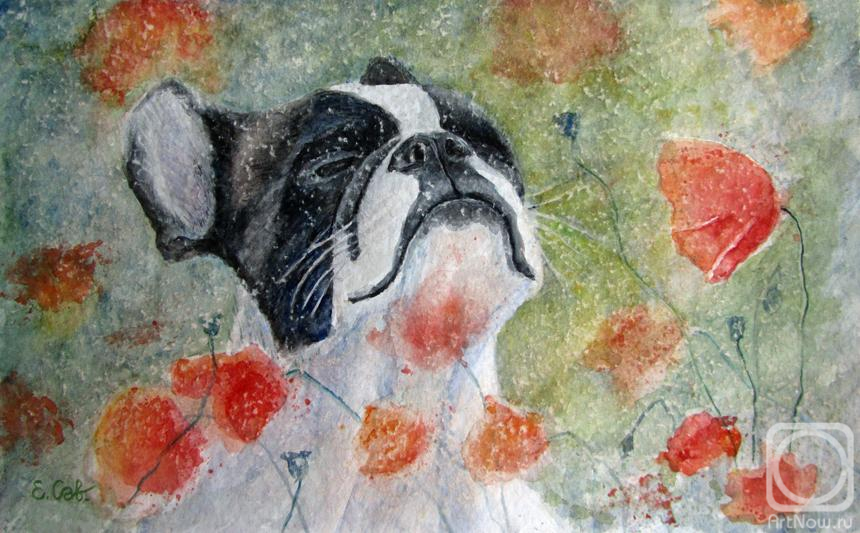 �������. ��������� �����. ������� � ��������