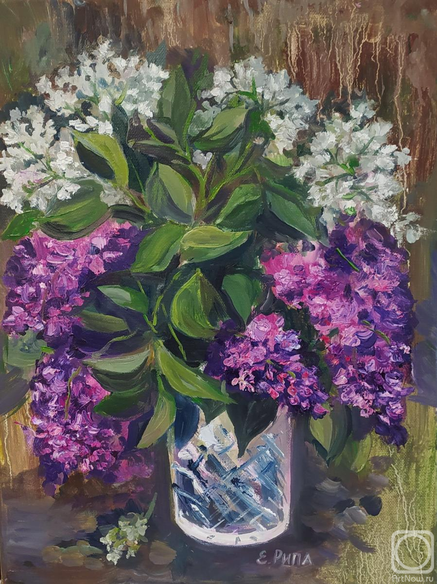 ������� ������ �� ������. ���� �����. ����� ������