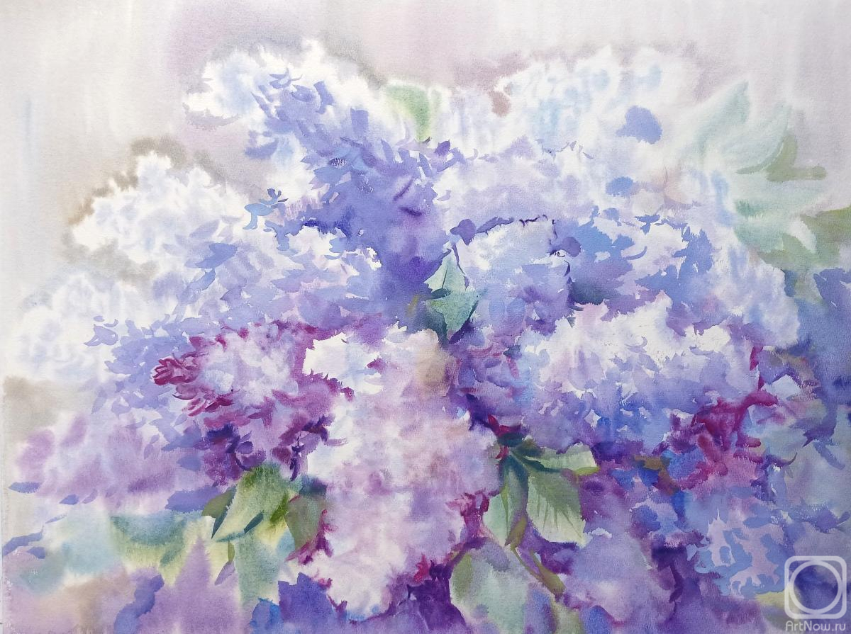 �������. ���������� ���������. ������.�����