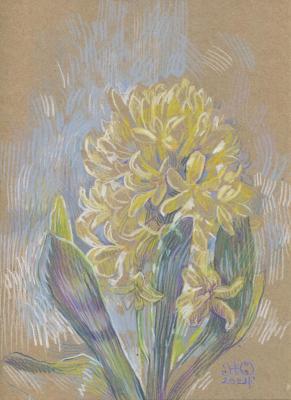 Yellow Hyacinth. Zhukovskaya Yuliya