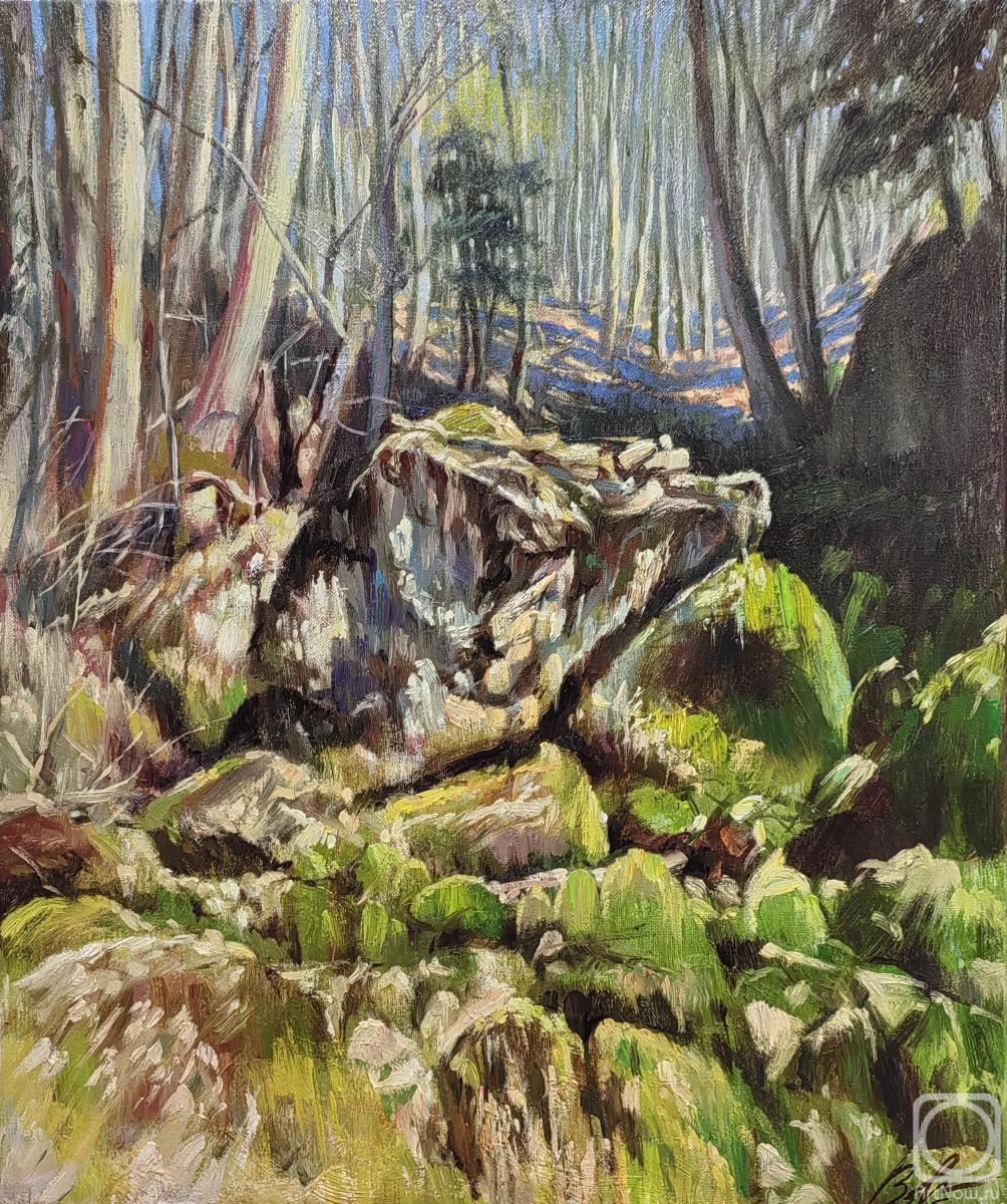 Vorobyov Anton. Stones on the hill