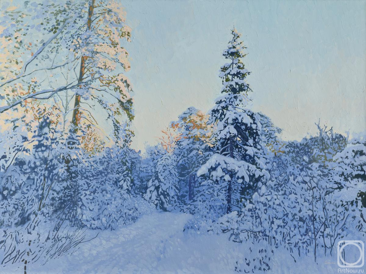 Kozhin Simon. January