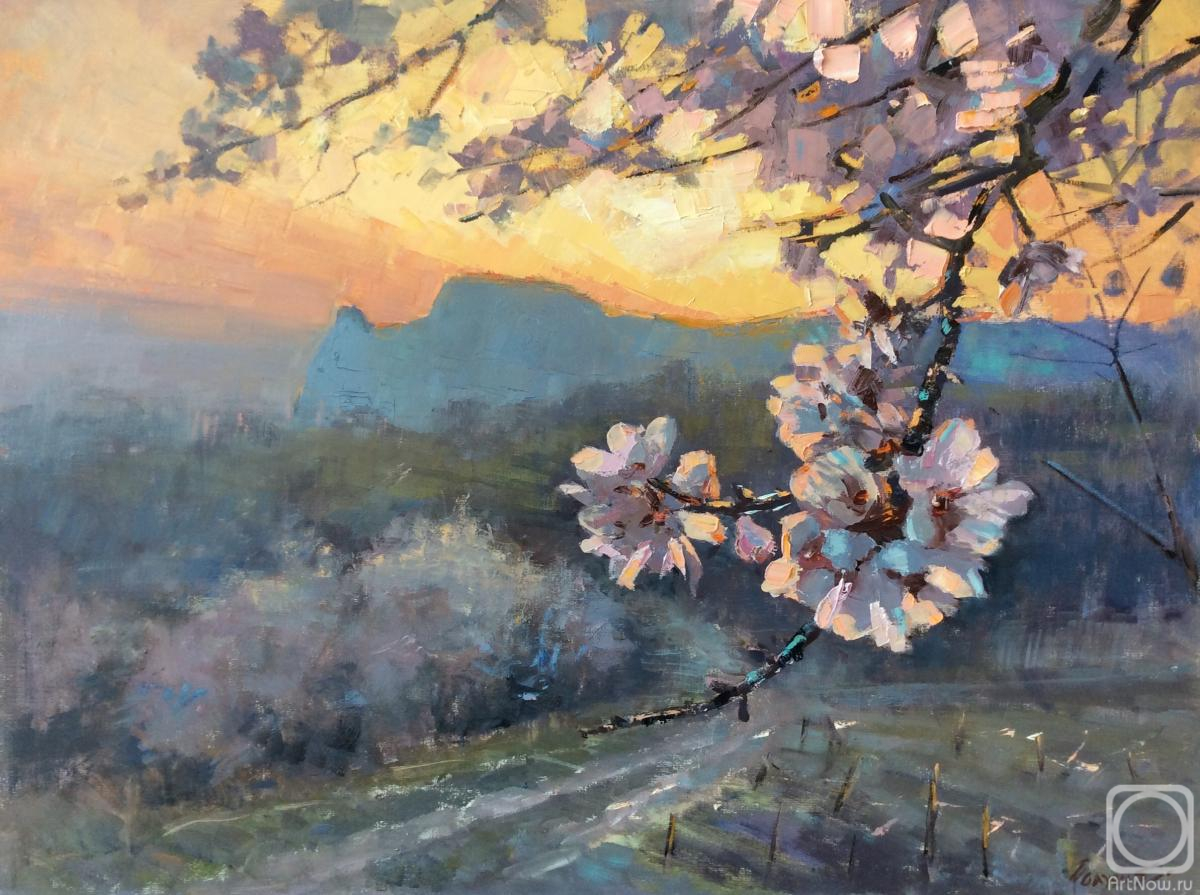 ������� ������ �� ������. ������ �����. � ����� ����� ����� �������