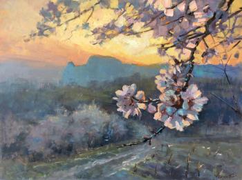 Almonds bloomed in the rays of spring (Crimea In Spring). Poluyan Yelena