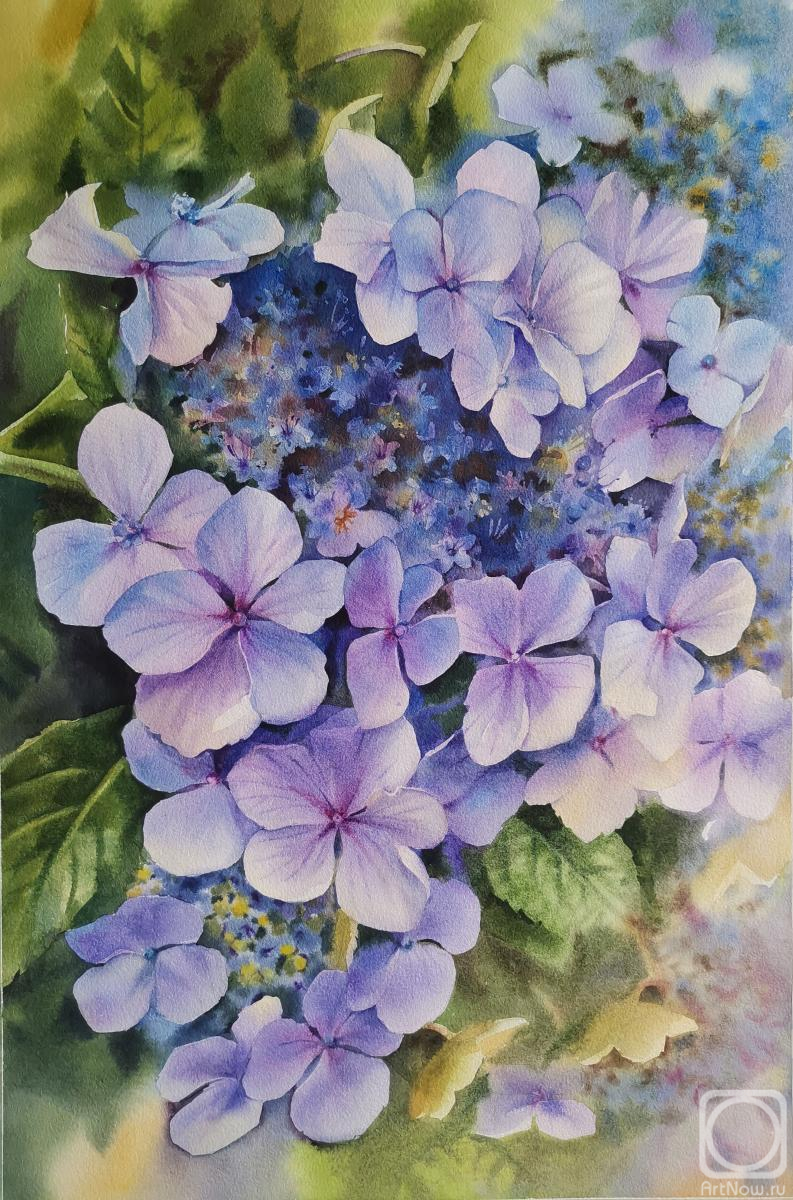 �������. �������� �������. ���������