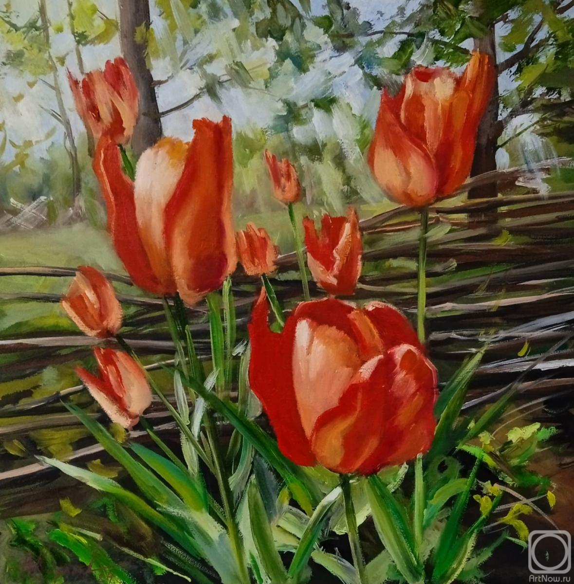 Korolev Andrey. Tulips