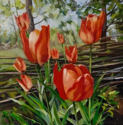 Tulips (Bouquet Of Garden Flowers). Korolev Andrey