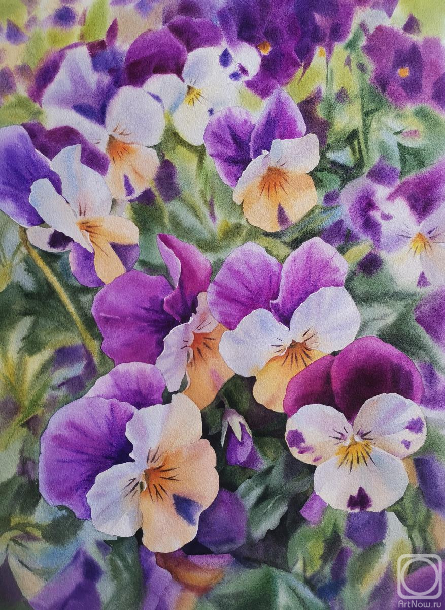 �������. �������� �������. ������