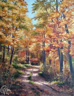 ������� ������. ��������� ����