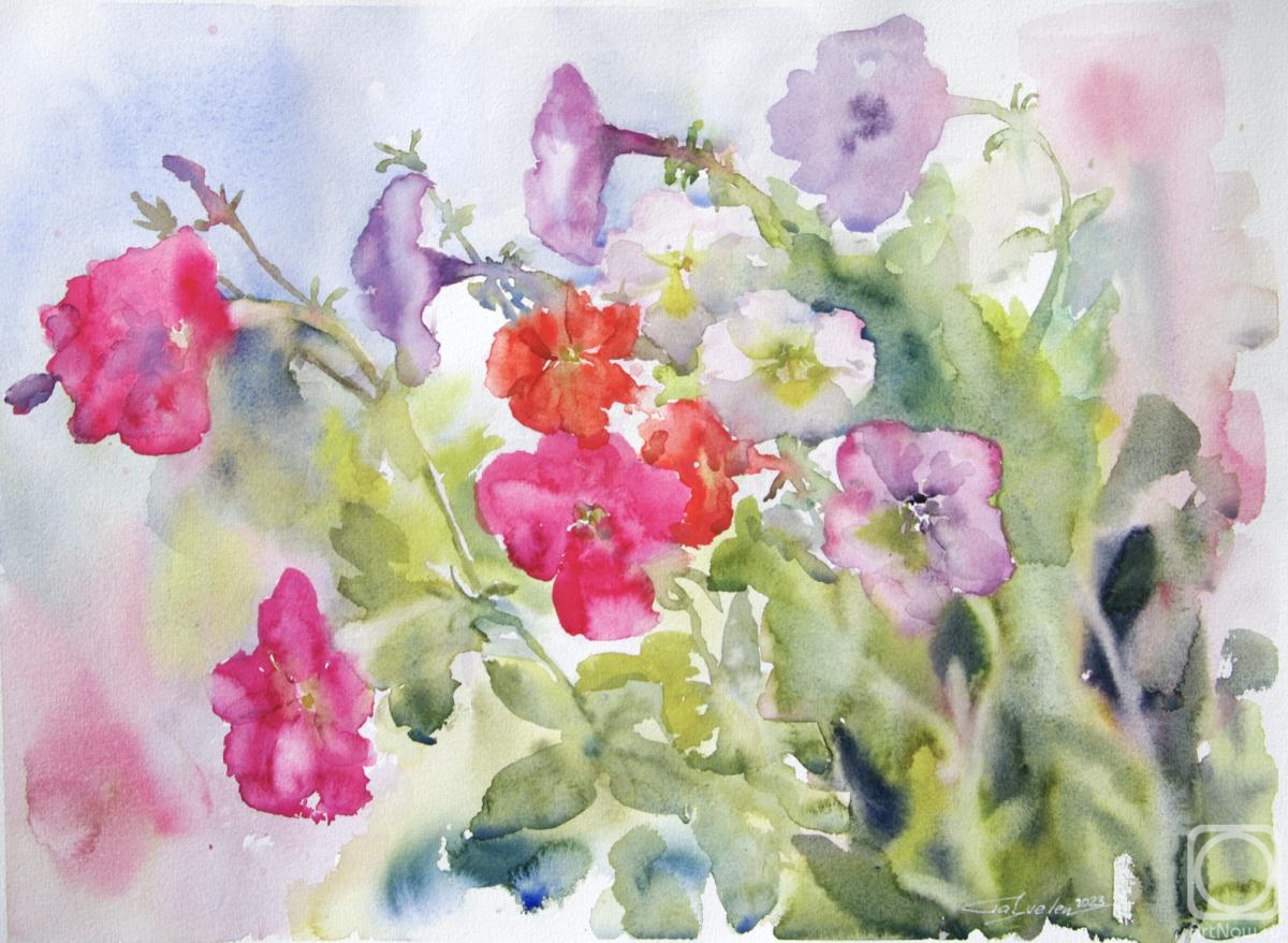 �������. ������������ �����. ���� �������