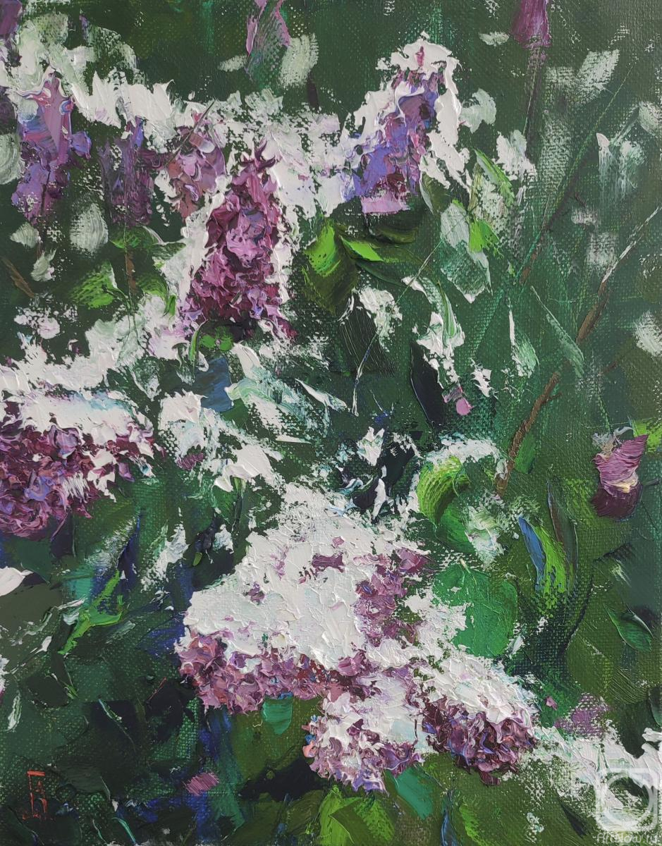 ������� ������ �� ������. ���������� �������. ������� �������