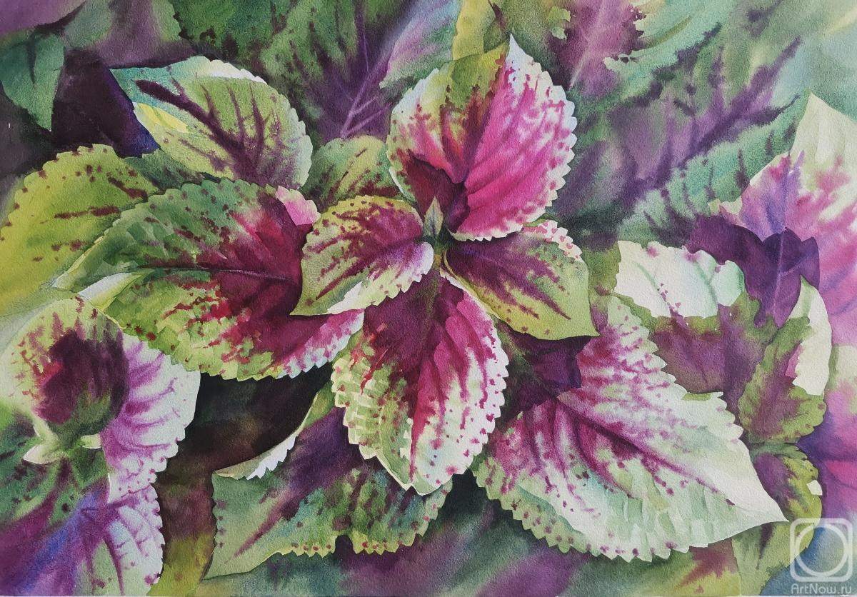 �������. �������� �������. ��������� �����