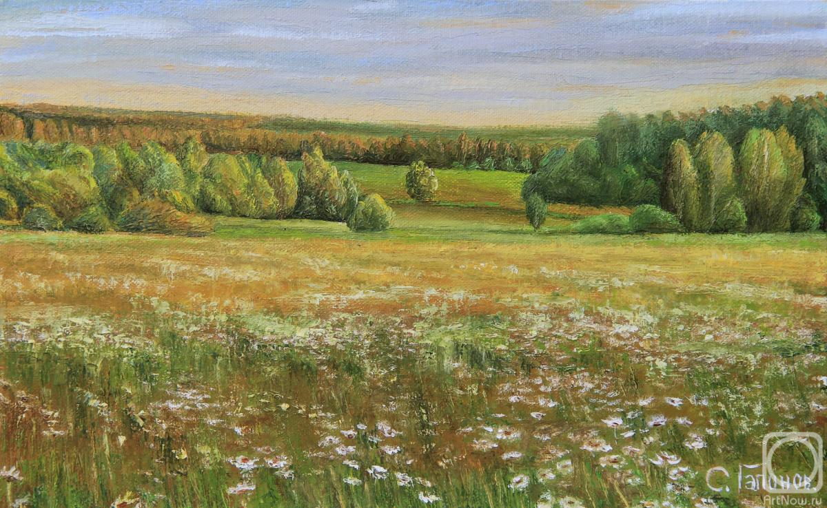 ������� ������ �� ������. ������� ������. ���������� ����