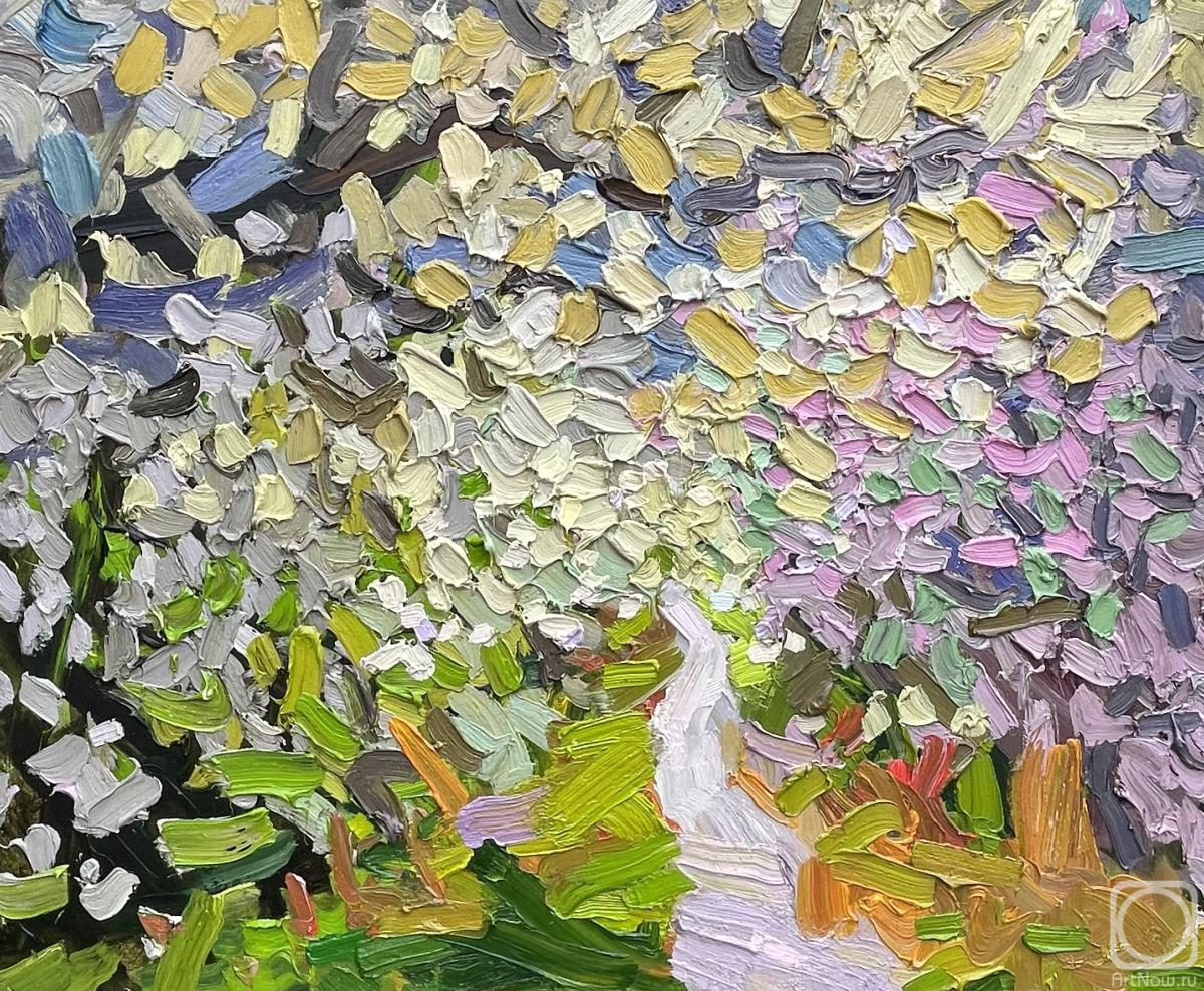 ������� ������ �� ������. ������ �����. �������� �����