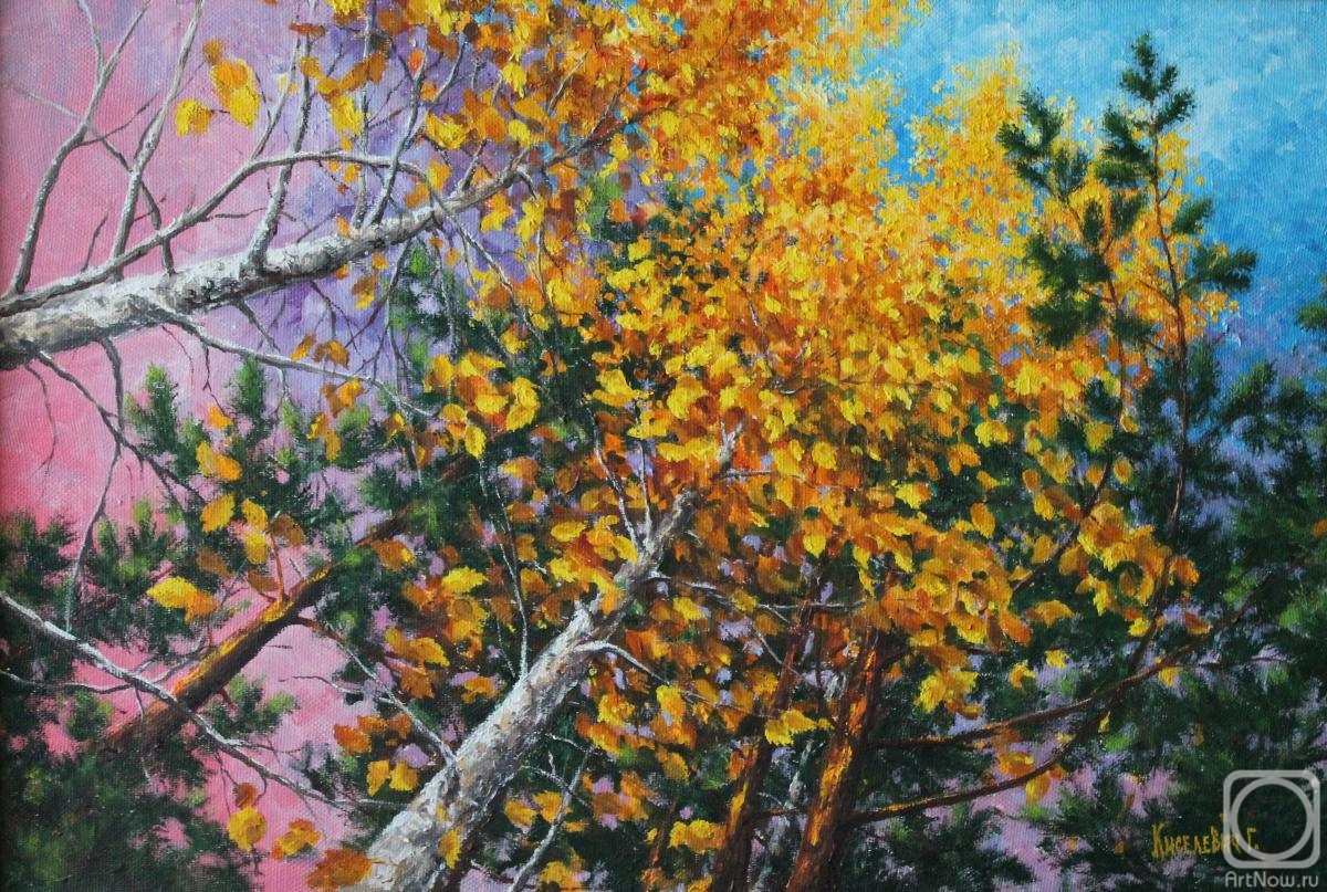 ������� ������ �� ������. ��������� ��������. ������� �����������