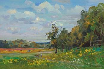 Fields are blooming in the village of Sivkovo. Zhlabovich Anatoly