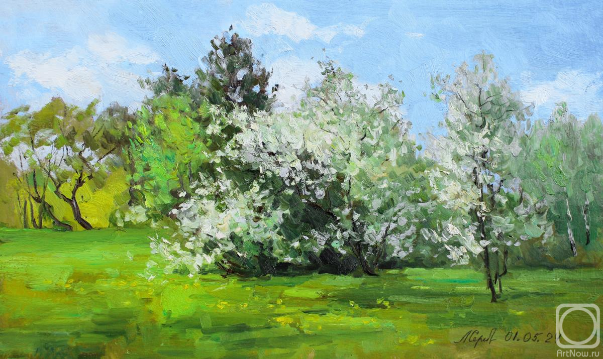 �������. �������������� ������. �������� ������