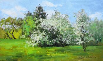 Bird cherry blossoms (Oil Painting Spring). Serebrennikova Larisa