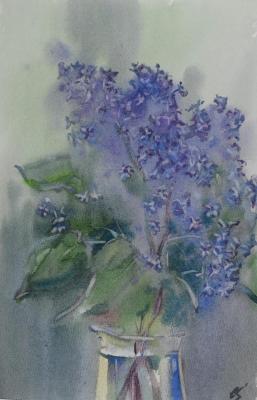 Lilac branch. Sanina Elena