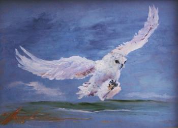 White owl (Harry Potter). Prokaeva Galina