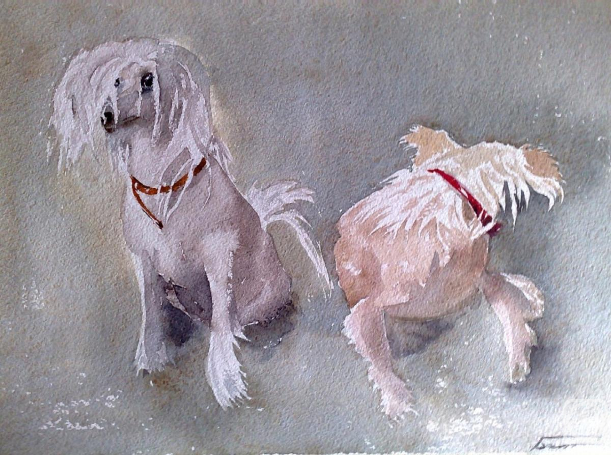 �������. ����������� �����. �������� ��������