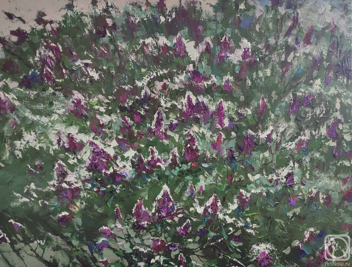 ������� ������ �� ������. ���������� �������. ������� ���