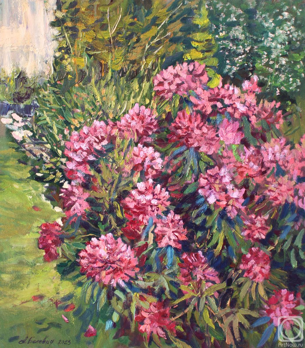 ������� ������ �� ������. ������� ������. �����������