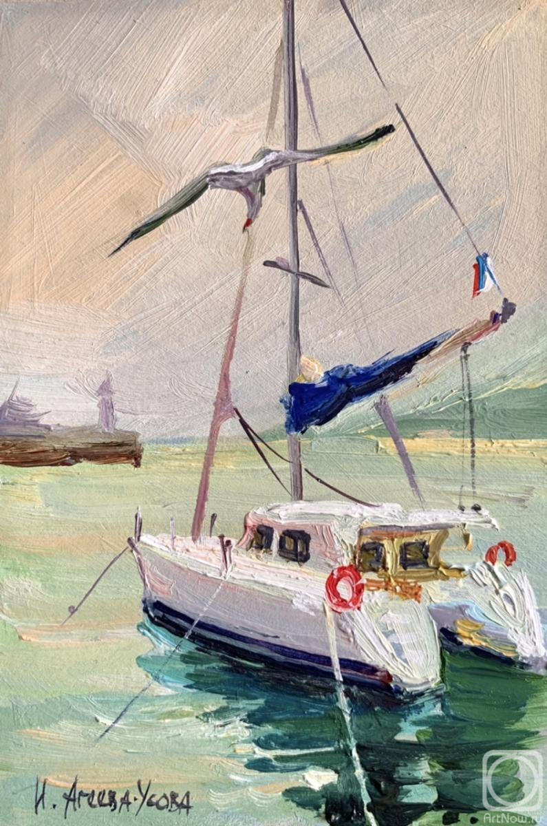 �������. ������-����� �����. ���������� ����