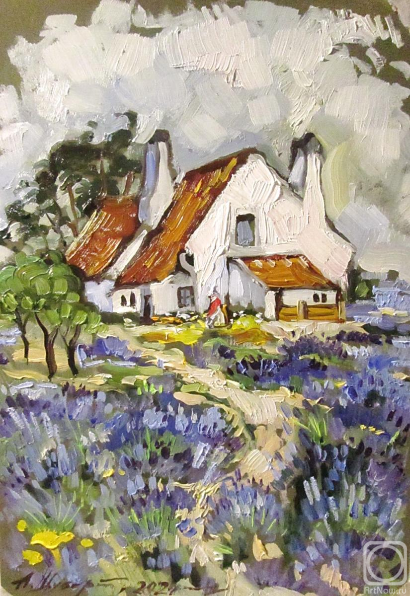 �������. ������ �������. ����� � ���������� �����