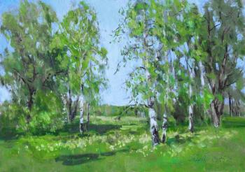 Birches in May (Oil Painting Spring). Serebrennikova Larisa