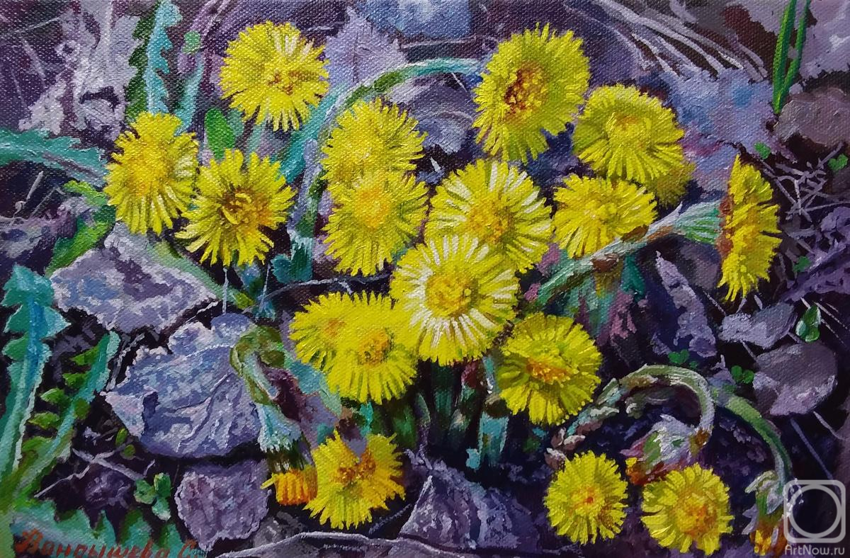 ������� ������ �� ������. ��������� ��������. ����� ������