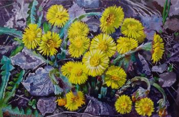 ������� ������ ������