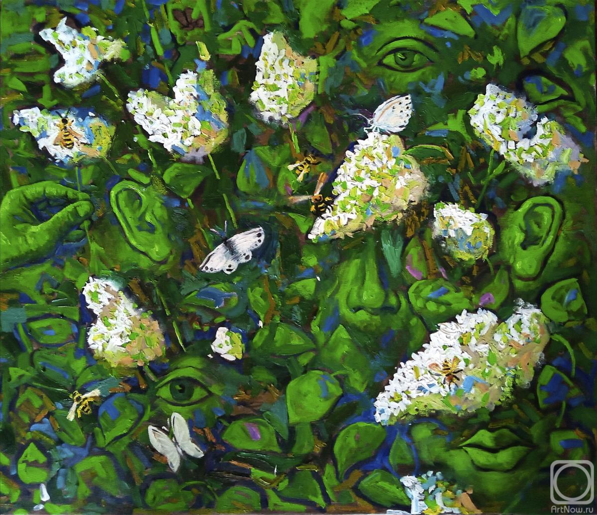 ������� ������ �� ������. ������ �������. �������